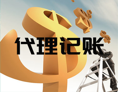 十年深耕，專業(yè)護(hù)航——新塘個人稅務(wù)籌劃與代理服務(wù)的卓越之道